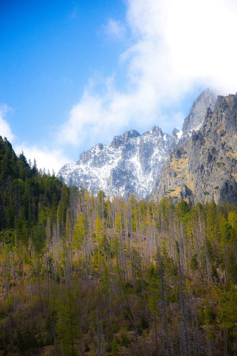 DSC_6909.jpg