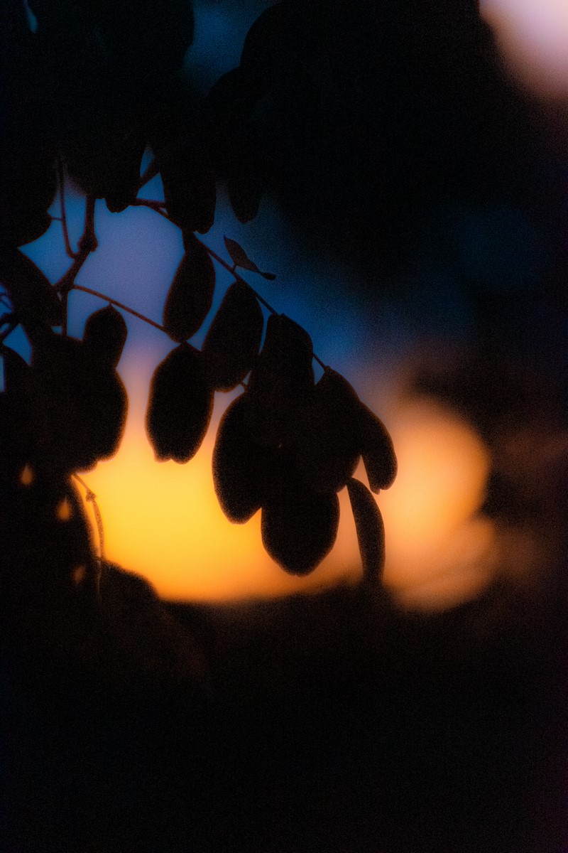 DSC_9403.jpg