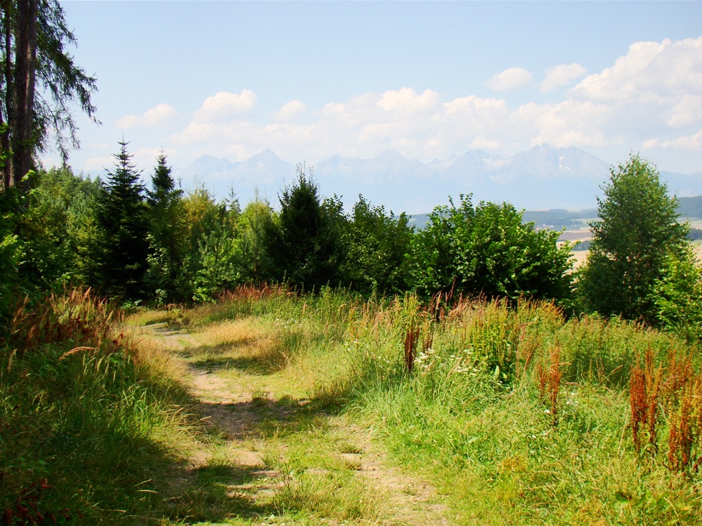 Spiš-Tatry
Kľúčové slová: SPiš;Tatry;vyhlad