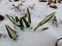 PXL_20250214_120731172_2.jpg