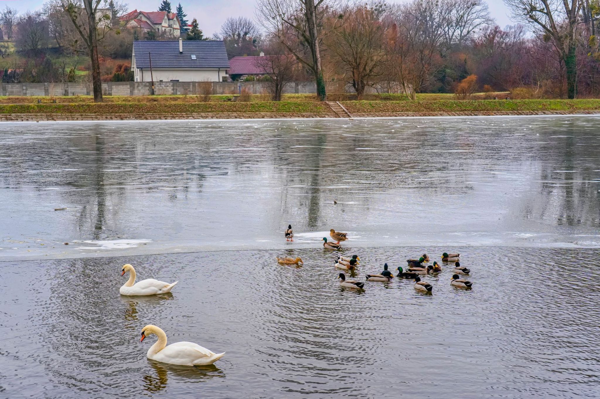 Všetci spolu
