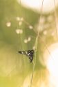 P6170857-Enhanced-NR.jpg