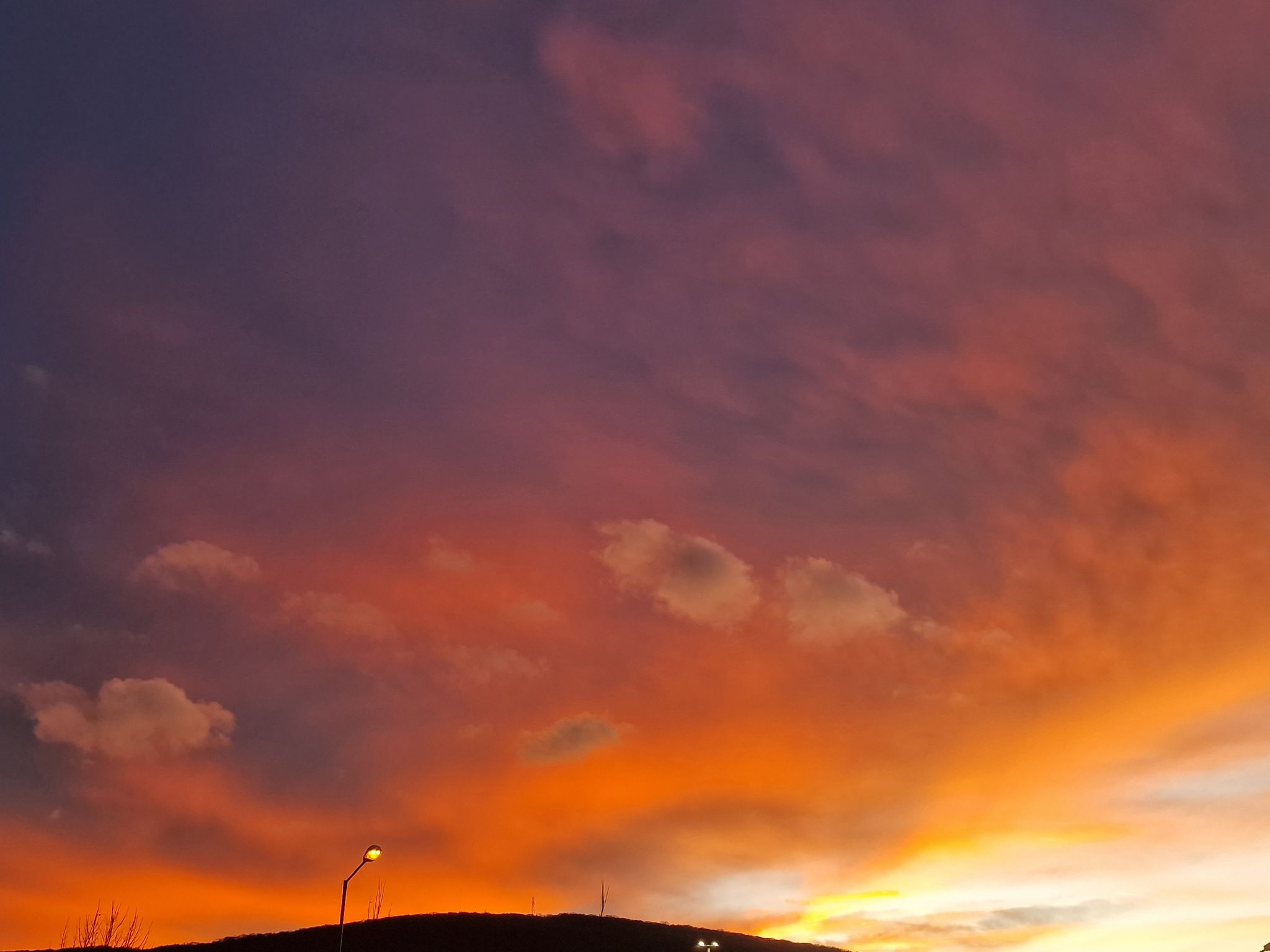 20250109_162308.jpg