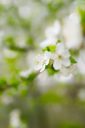 DSC_5312.jpg