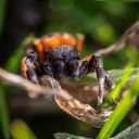 DSC_5181.jpg
