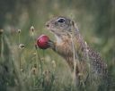 DSC_7891.jpg