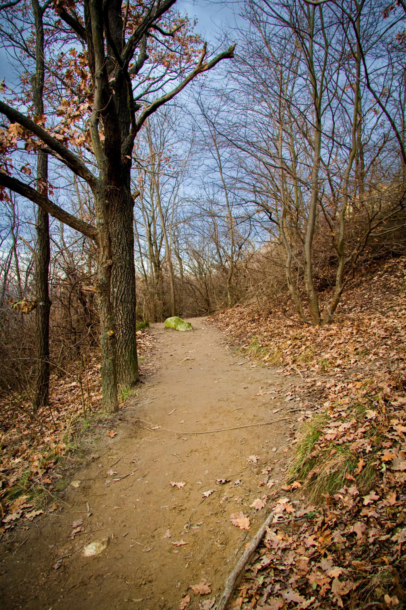 IMG_0035.jpg