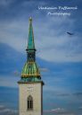 IMG_8098.jpg