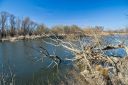 IMG_9859.jpg
