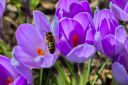 IMG_9887.jpg
