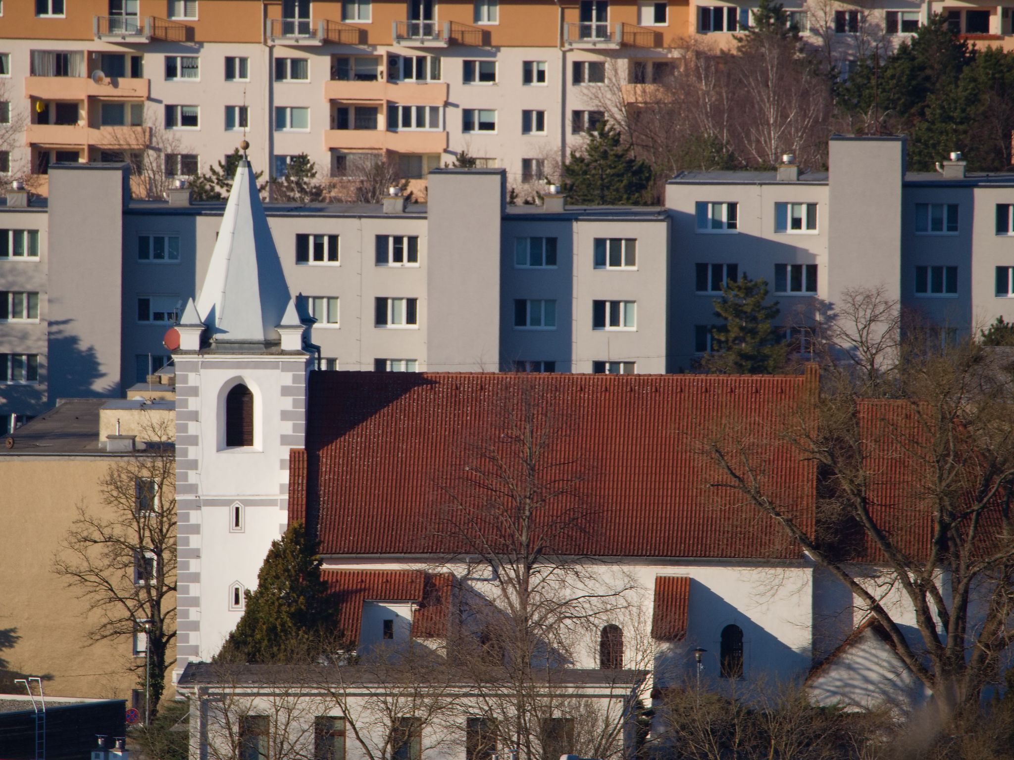 P3080072.jpg